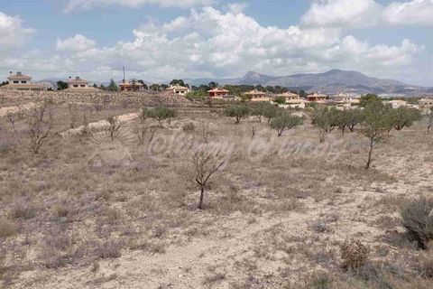 Helårsgrund i Monovar, Alicante, Monovar - € 69.995 | Ref: SF0514 - foto 7